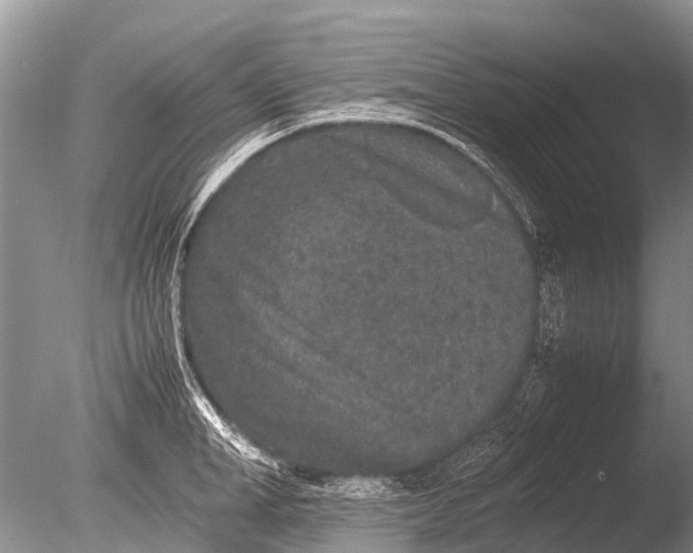 X0000085810998200703301520