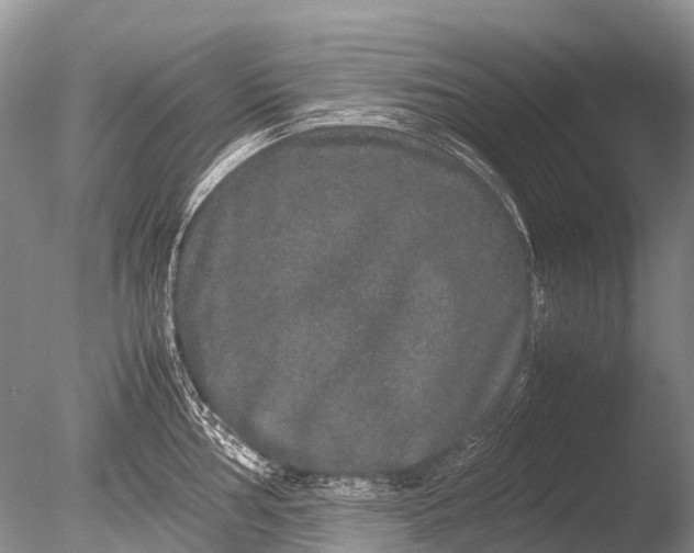 X0000085811002200703301520