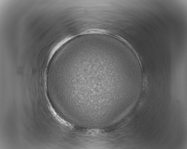 X0000085811003200703301520