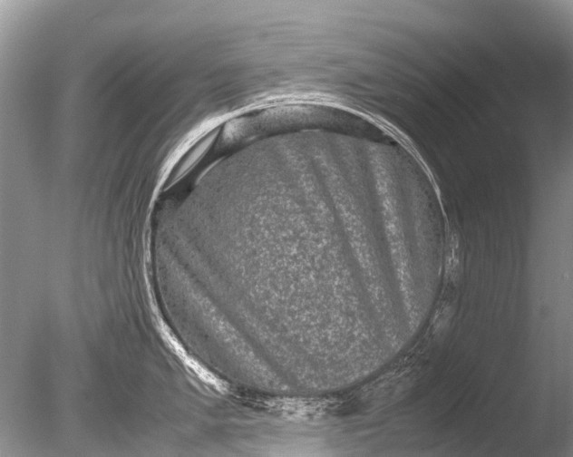 X0000085811005200703301520