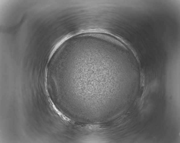 X0000085811006200703301520