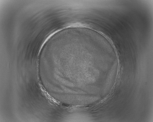 X0000085811008200703301520