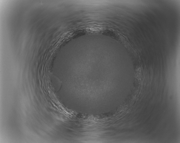 X0000085811009200703301519