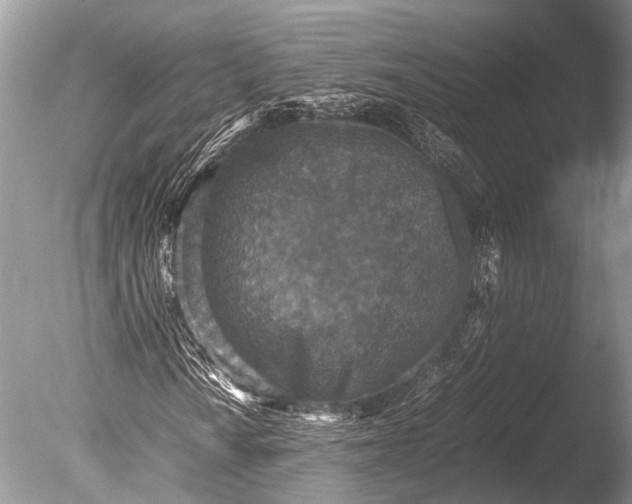 X0000085811010200703301519