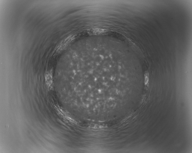 X0000085811011200703301519