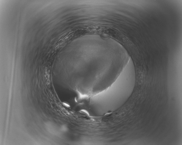 X0000085811013200703301519