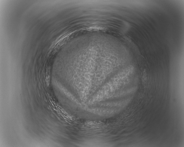 X0000085811015200703301519