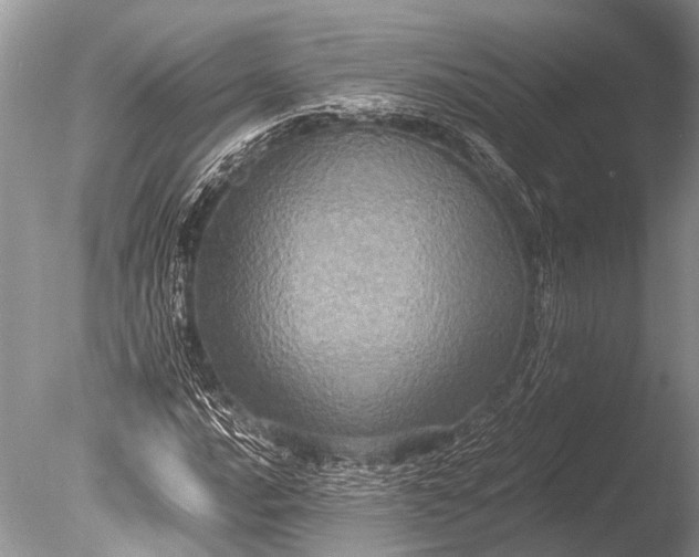 X0000085811016200703301519