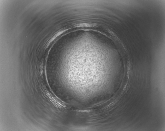 X0000085811017200703301519