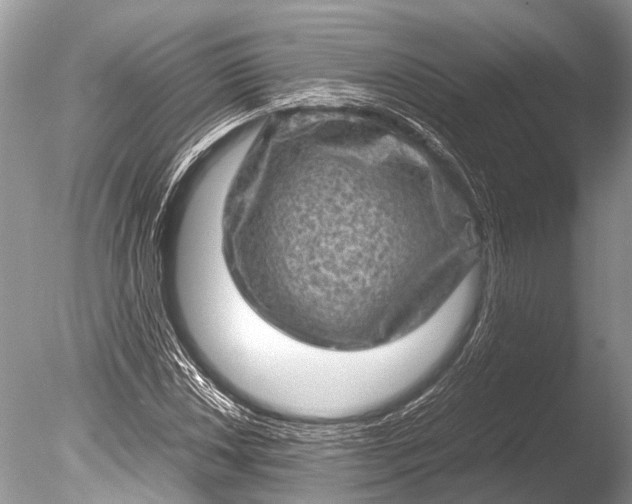 X0000085811018200703301519