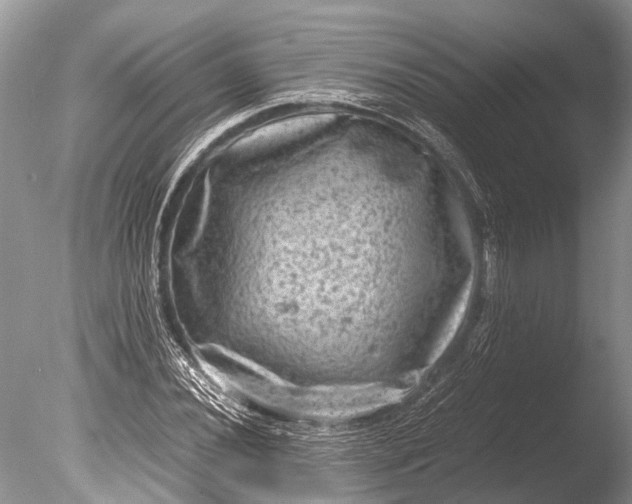 X0000085811020200703301519