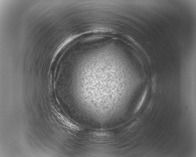 X0000085811021200703301519