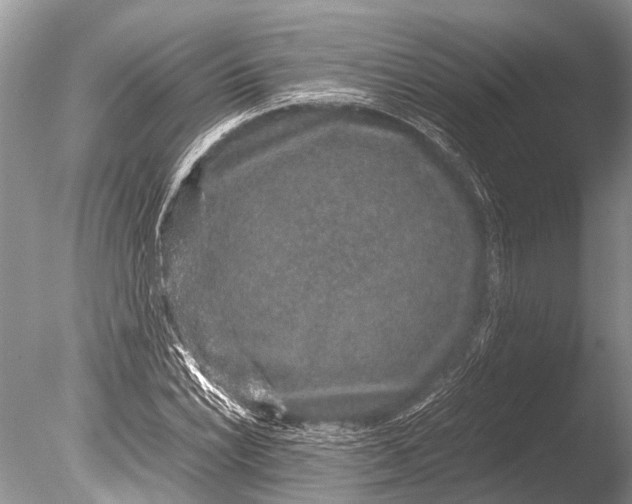 X0000085811022200703301519