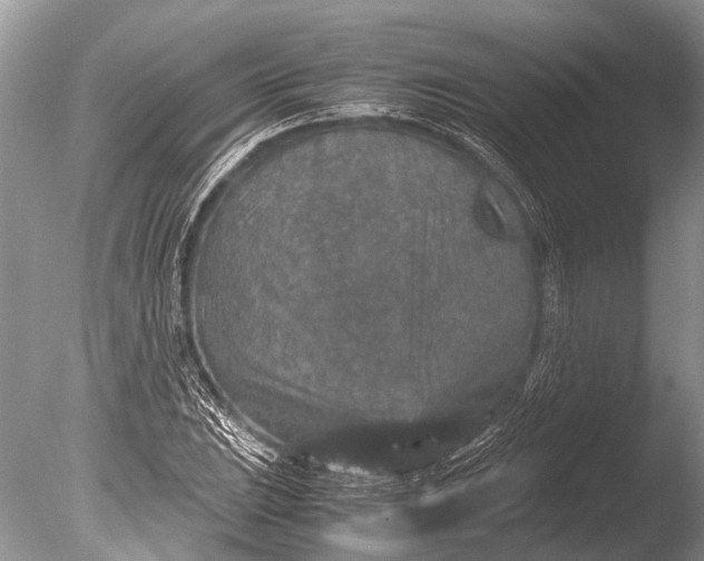 X0000085811023200703301519