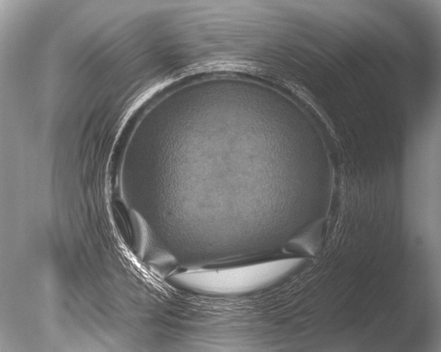 X0000085811024200703301519