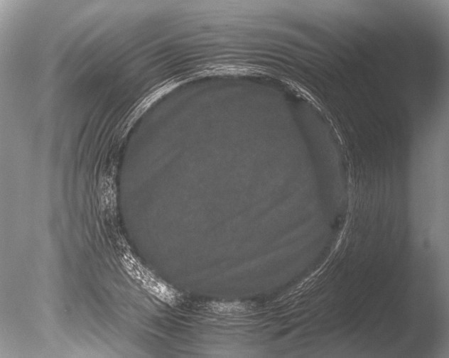 X0000085811025200703301519