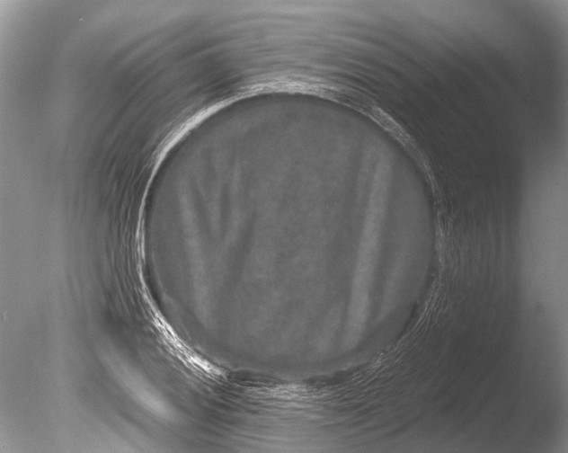 X0000085811028200703301519