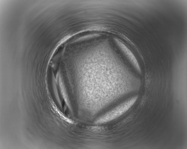 X0000085811029200703301519