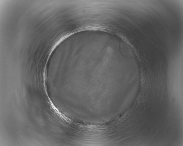 X0000085811032200703301520