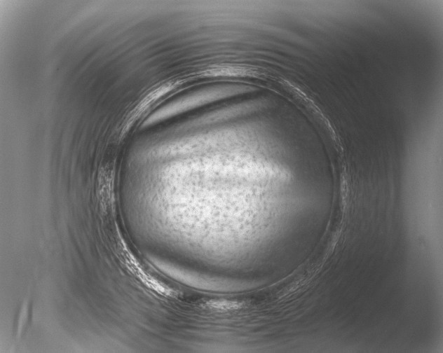 X0000085811033200703301520