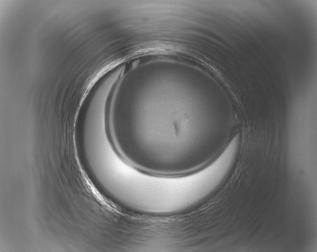 X0000085811034200703301520