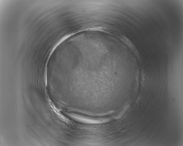 X0000085811036200703301520