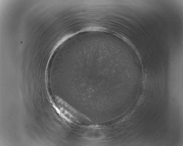 X0000085811037200703301520