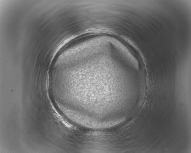 X0000085811040200703301520