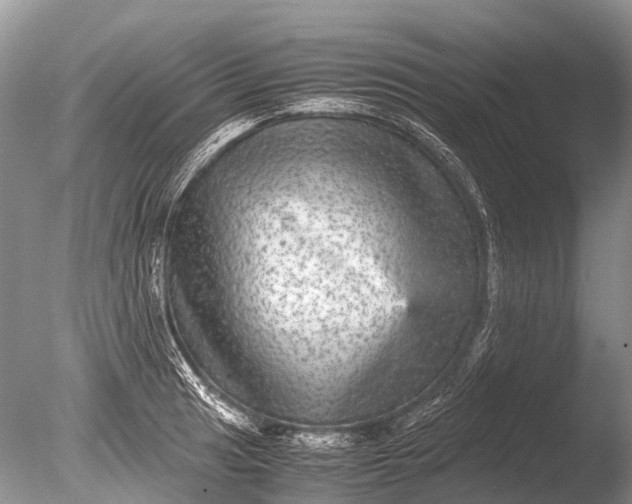 X0000085811041200703301520