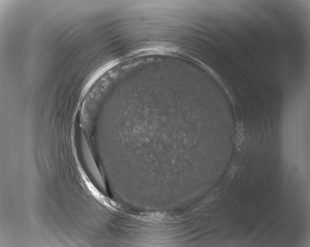 X0000085811042200703301520