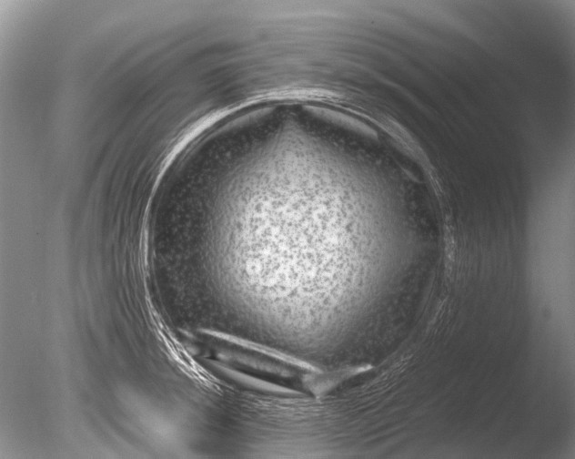 X0000085811044200703301520