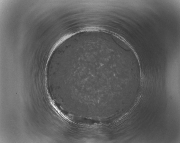 X0000085811045200703301520