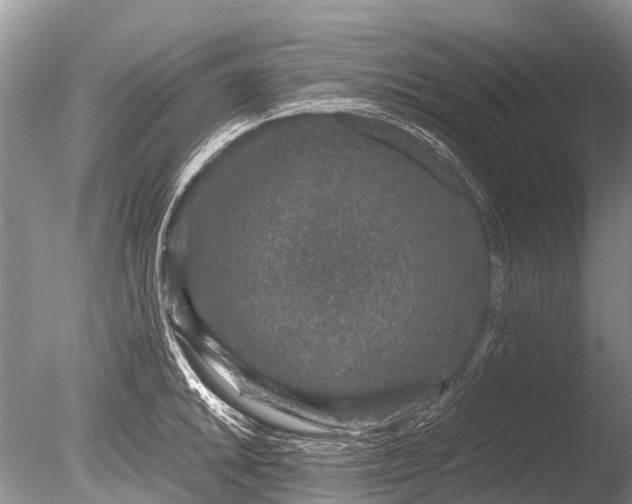 X0000085811046200703301520