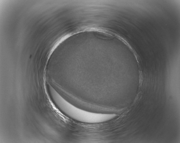 X0000085811048200703301520