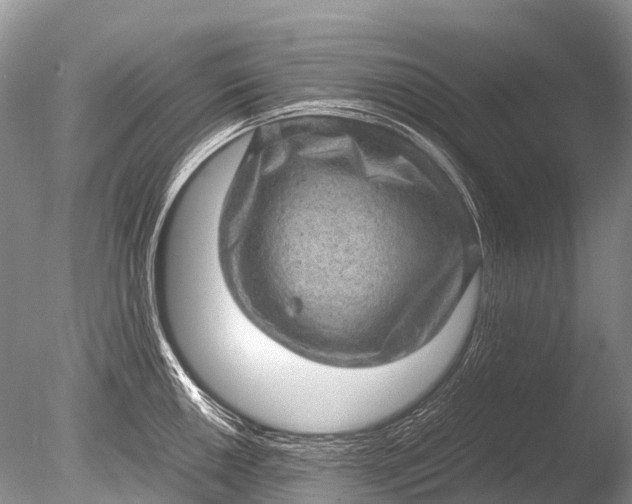 X0000085811050200703301520