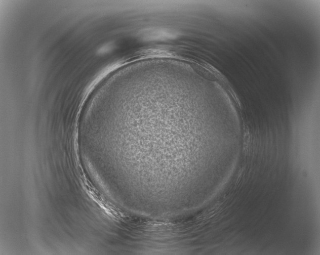 X0000085811051200703301520