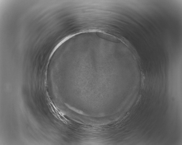 X0000085811052200703301520