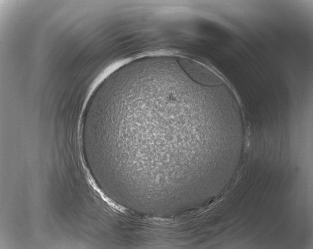 X0000085811053200703301520