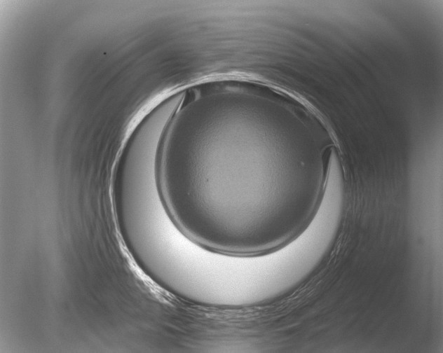 X0000085811054200703301520