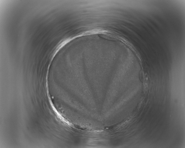 X0000085811055200703301520