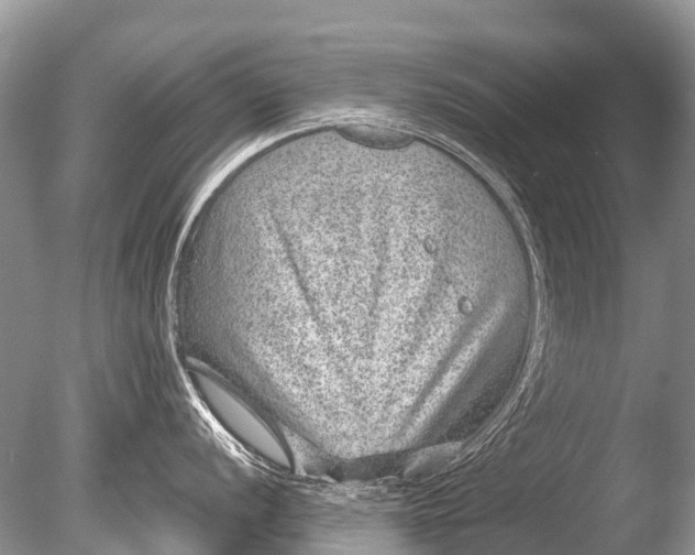 X0000085811056200703301520