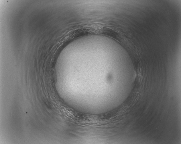 X0000085811057200703301519