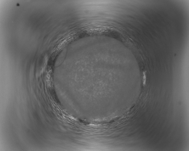 X0000085811059200703301519