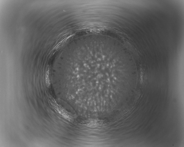 X0000085811060200703301519