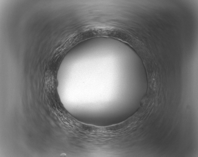 X0000085811061200703301519