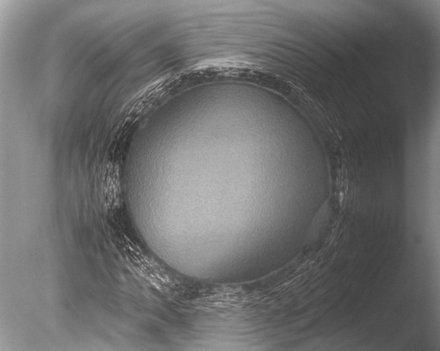 X0000085811062200703301519