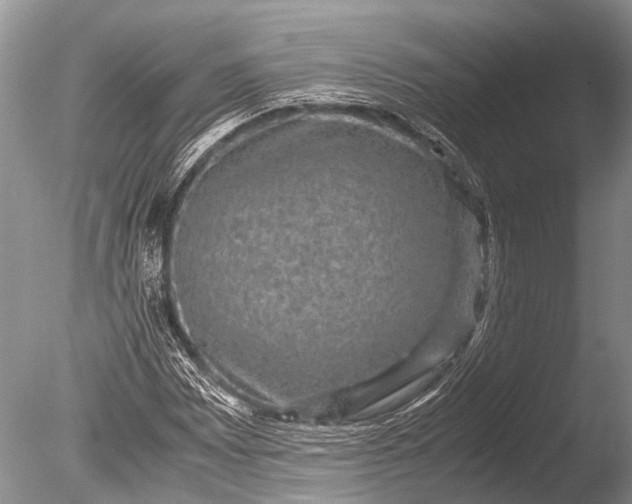 X0000085811065200703301519