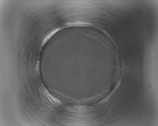 X0000085811066200703301519