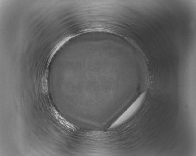 X0000085811068200703301519