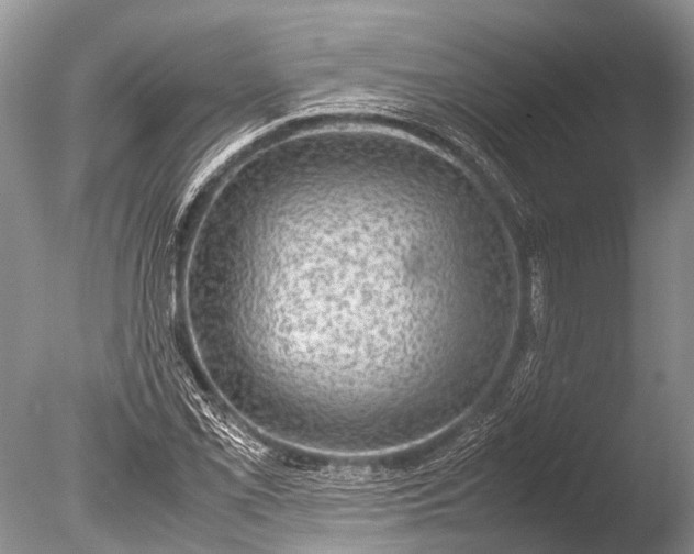 X0000085811069200703301519